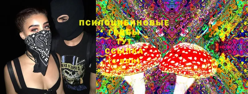 Галлюциногенные грибы Cubensis  Родники 